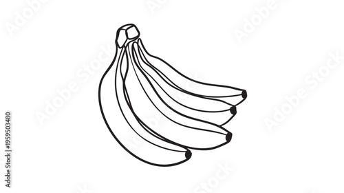 A clean, black and white line illustration of a bunch of ripe bananas against a plain background.