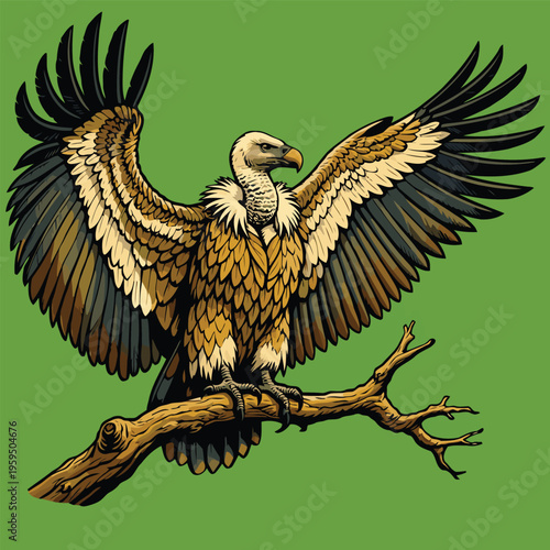 vector image of a carrion-eating vulture