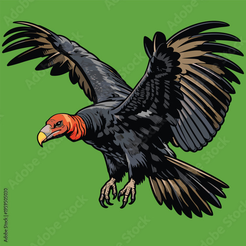 vector image of a carrion-eating vulture