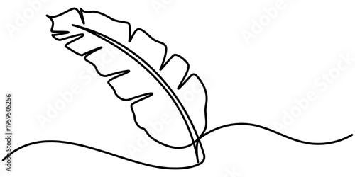 Continuous one line drawing of banana leaf. One line drawing illustration of banana leaf. Tropical leaf concept line art, outline illustration. 
