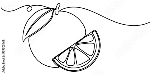 orange continuous one line drawing, Orange fruit continuous one line drawing minimalist style isolate outline illustration. 