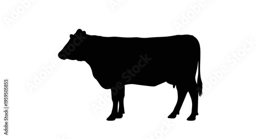 Black silhouette of a cow standing.