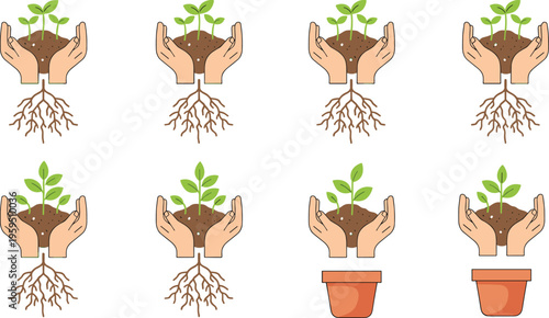 Vector illustration of plant growth stages with hands holding soil, roots visible and final transplantation into flower pot