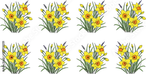 Vector illustration of yellow daffodil bouquets with orange centers, green leaves and lavender spikes in botanical floral design