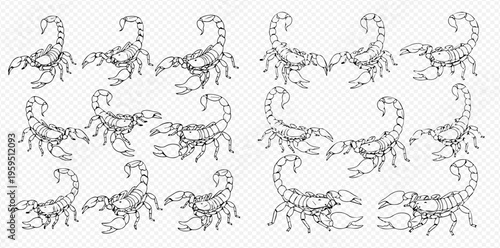 Seamless pattern with hand-drawn scorpions, a dangerous arachnid vector illustration.