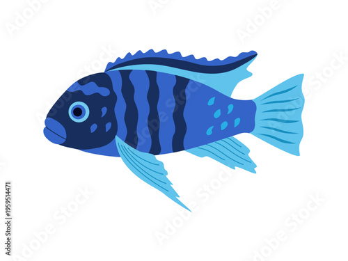 Blue spotted aquarium fish. Tropical exotic underwater animal. Hand drawn vector illustration isolated on white background, flat cartoon style.