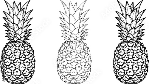 Simplified pineapple icon. Symbol of tropical fruit: black silhouette, outline lines, and dashed line. Five style variations.
