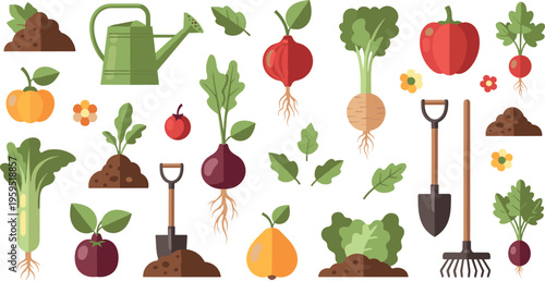 Gardening Tools and Root Vegetables Vector Set with Shovel, Rake, Watering Can, Beetroot and Carrot for Farm, Harvest and Organic Garden Design