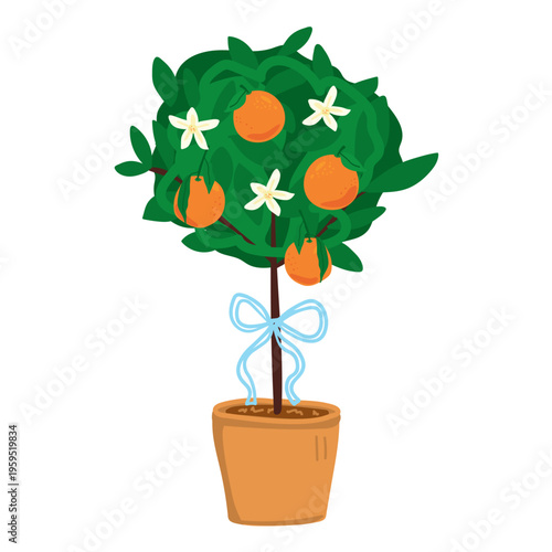 Potted Citrus Orange Tree with Ripe Fruits White Flowers and Blue Ribbon Bow for Home Decor or Garden Center Design Isolated on Transparent Background.