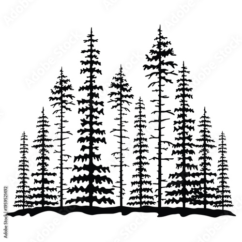 Forest, Woods, Pine Trees, Wilderness, Woodland, Hand Drawn Vector Illustration 