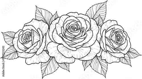 A black and white drawing of three roses with leaves