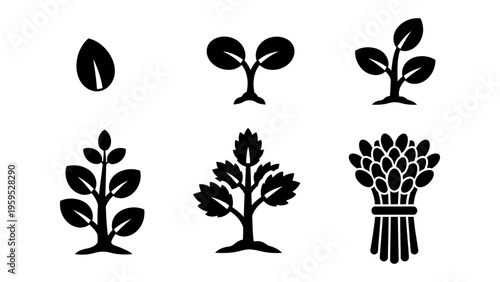 Plant growth stages icon set showing lifecycle from seed to harvest for agriculture and business growth concept