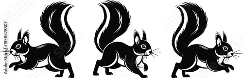 Black and White Squirrel Vector Illustration Set, Three Running Squirrels Silhouette Graphics, Wild Animal Nature Icons Isolated on White Background,