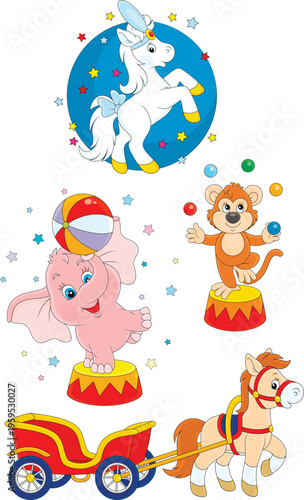 Circus pony with a small ca...