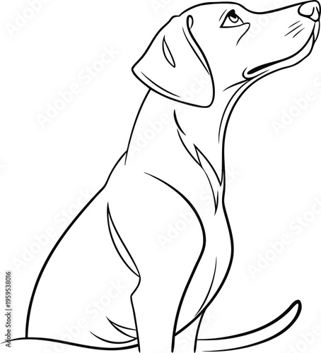 Dog sitting up looking, black and white line art