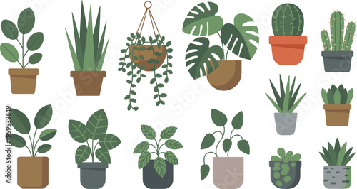 Large flat vector illustration set of various indoor houseplants and succulents in pots for home decor and urban jungle interior design.
