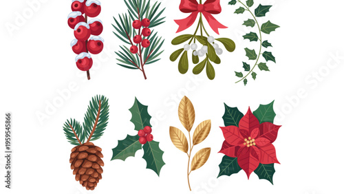 A collection of christmas decorative botanical elements featuring berries and pine foliage designs Vector