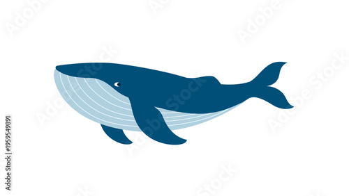 Big whale vector illustration