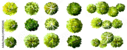 Vertor set of green tree,plants top view for landscape plan,schematic layout,eco environment concept design,watercolor greenery illustration