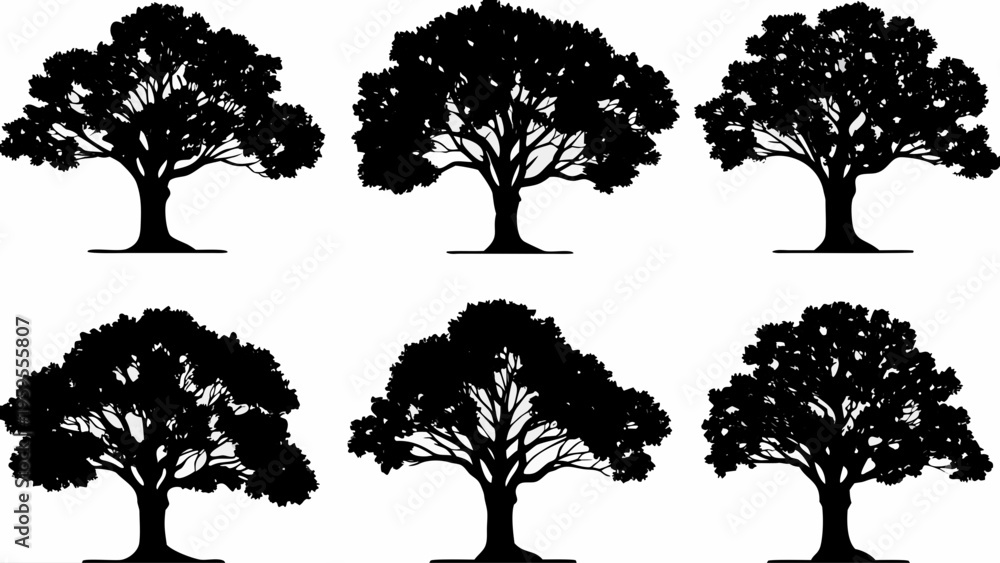 Fototapeta premium A set of six black tree silhouettes on a white background
