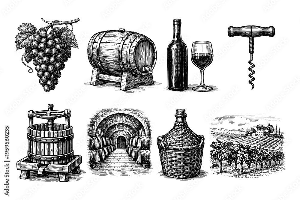Fototapeta premium Vintage wine making process and vineyard elements in detailed engraving style