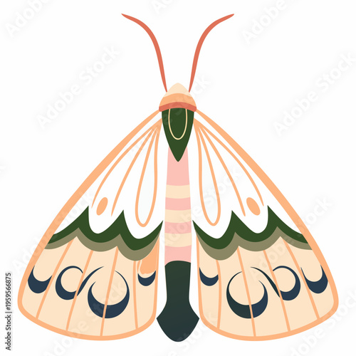 Stylized illustration of a colorful moth with patterned wings and antennae