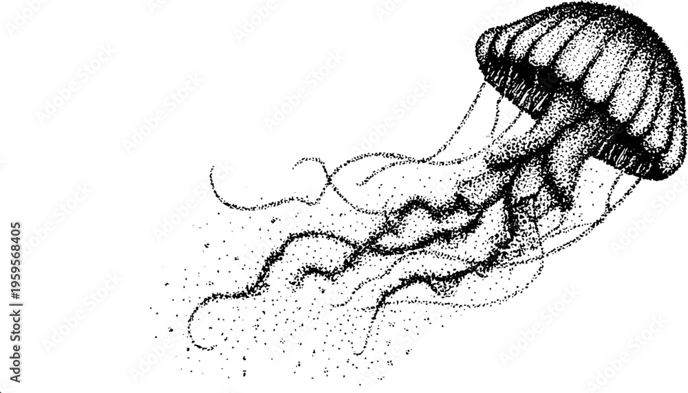 Obraz premium Black and white jellyfish stippling illustration - dotwork style for artistic design
