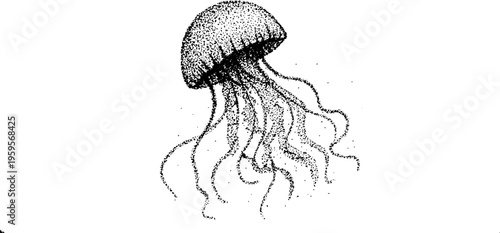 Elegant jellyfish with flowing tentacles in black and white stipple art