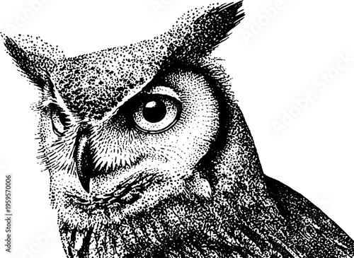 Artistic owl drawing in black and white stippling dotwork style for creative design