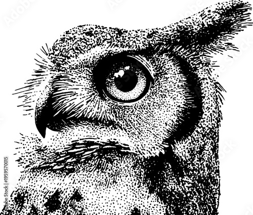 Mystical owl head with crescent moon halo in black and white stipple art for decorative design
