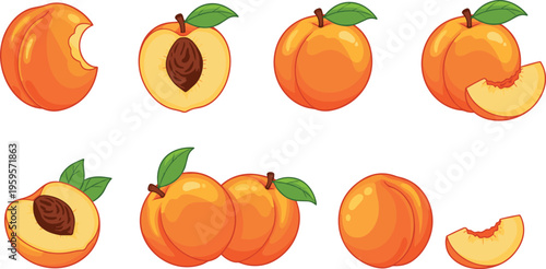 Cartoon peach fruit illustration showing whole, halved, bitten, and sliced variations with leaves in colorful vector design