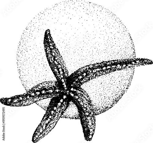 Stippling starfish and bubble circle frame in black and white for vintage design