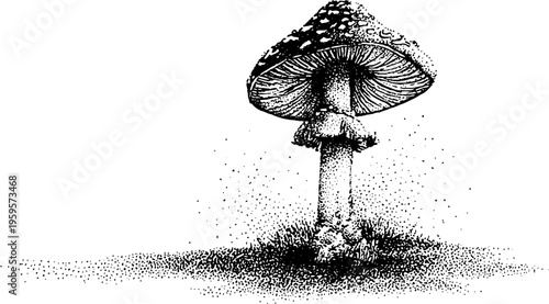 Enchanting toadstool mushroom in black and white stipple art for magical designs