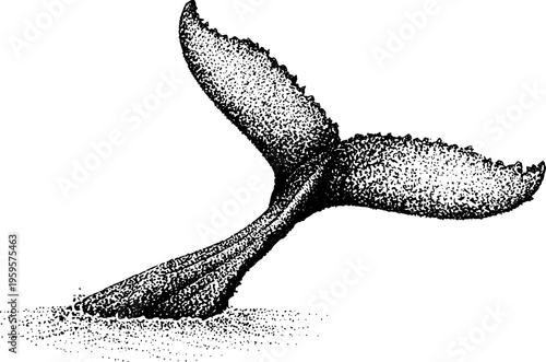 Black and white whale tail stippling design for art prints and posters