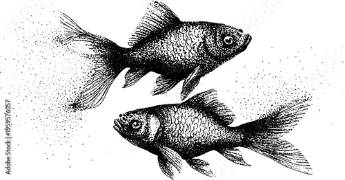Zodiac pisces twin fish symbol in black and white stippling art for decor or astrology design