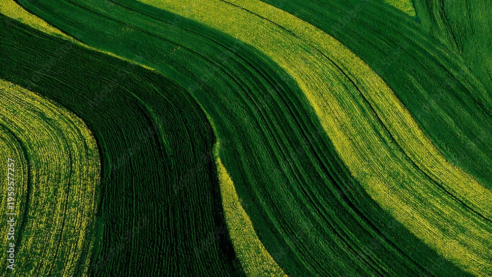 Naklejka premium Aerial view of agricultural fields forming geometric patterns. Modern farming landscape with symmetry and texture.