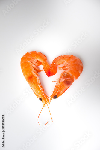 Two cooked shrimp arranged in a heart shape on a white background