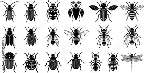 Insect silhouettes collection, beetle vector, fly illustration, bee artwork, ant design, dragonfly graphic, entomology study, symmetrical insect pattern