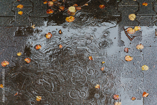 Obraz na płótnie Rain falling on wet pavement creating ripples among scattered autumn leaves