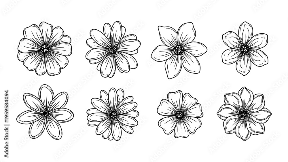 Obraz premium Set of hand drawn flower line art illustrations for botanical design and floral patterns
