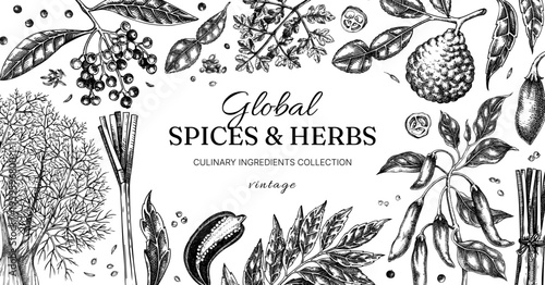 Vintage spices and herbs frame design. Hand drawn engraving botanical food background. Kitchen ingredients banner. NOT AI generated