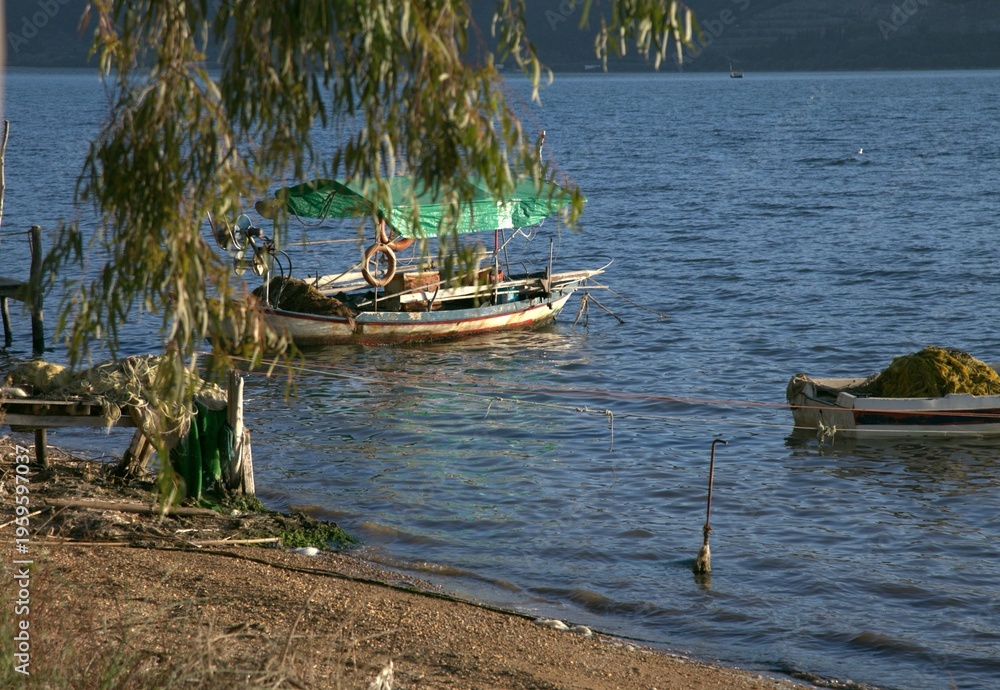 Obraz premium Two boats with tree branch creating natural shade, Greece