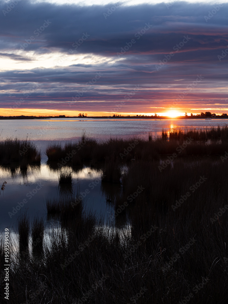 Obraz premium Sun setting over calm water with reflections in a peaceful wetland environment.