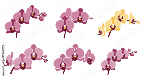 A collection of stylized orchid flowers in shades of pink and yellow