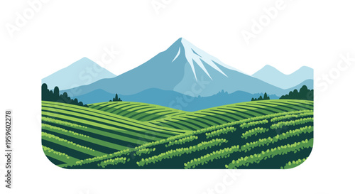 A stylized illustration shows green terraced fields leading up to a range of blue mountains with a snow-capped peak under a clear sky.