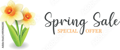 Spring sale banner with daffodil flowers. Minimal floral design for seasonal promotion and advertising. 3D Easter realistic illustration