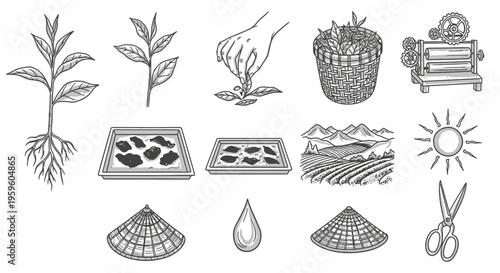 Gardening tools and plant growth icons.