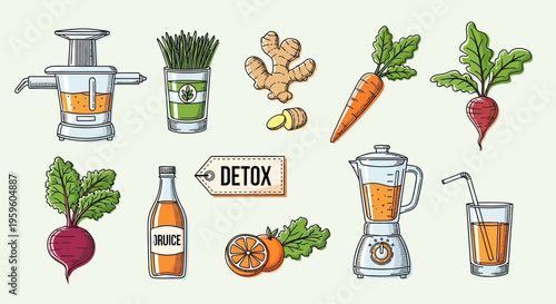 Healthy food and drink ingredients vector.