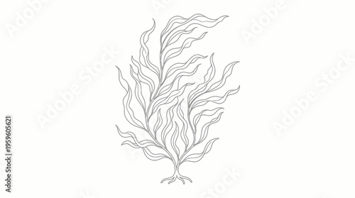 Monochromatic line art illustration of a flowing marine plant, resembling kelp or seaweed, with intricate wavy fronds and a root-like base.