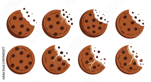 Selection of delicious chocolate chip cookies, some whole and others with bites taken out, showing crumbs and textures on white background.